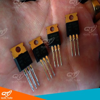 IRF3205 MOSFET N-CH 110A 55V TO220 (1con) lưng đồng