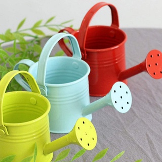 Bình Xịt Nước Tưới Cây Bằng Kim Loại Có Tay Cầm Tiện Dụng