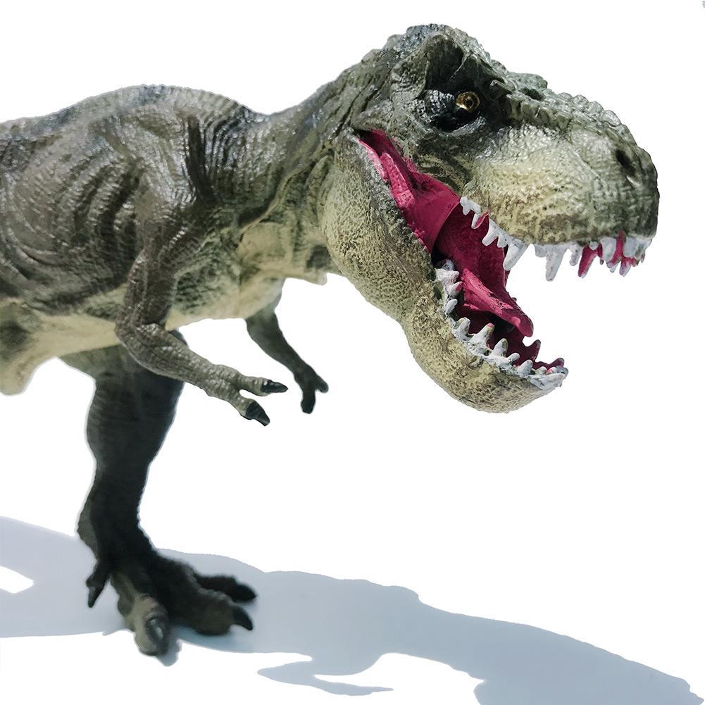 Mô Hình Khủng Long T-Rex Cỡ 12 "Cho Bé Trai T-Rex