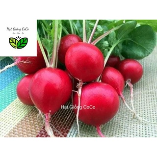 Hạt Giống Củ Cải Đỏ Cherry Gói 1Gr