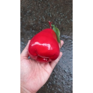 1 Trái mận giả - trái cây giả - Hương Flower