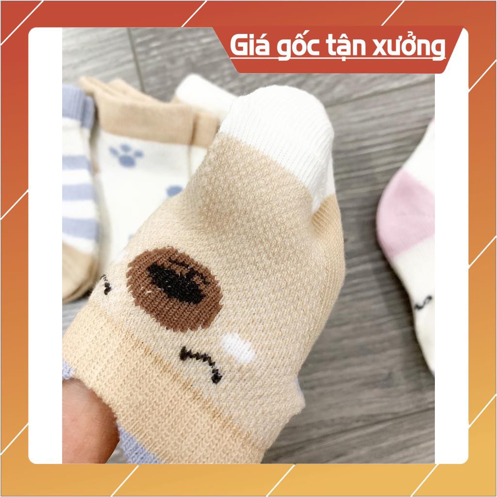 Set 5 đôi tất lưới có tai cho bé trai/ bé gái cực xinh