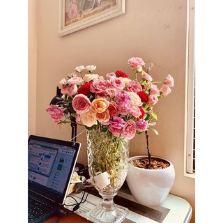 Bình thủy tinh cắm hoa, bình đựng nước hoa quả