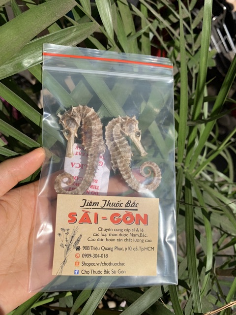 Cá Ngựa Khô 2 con (Đực - Cái)