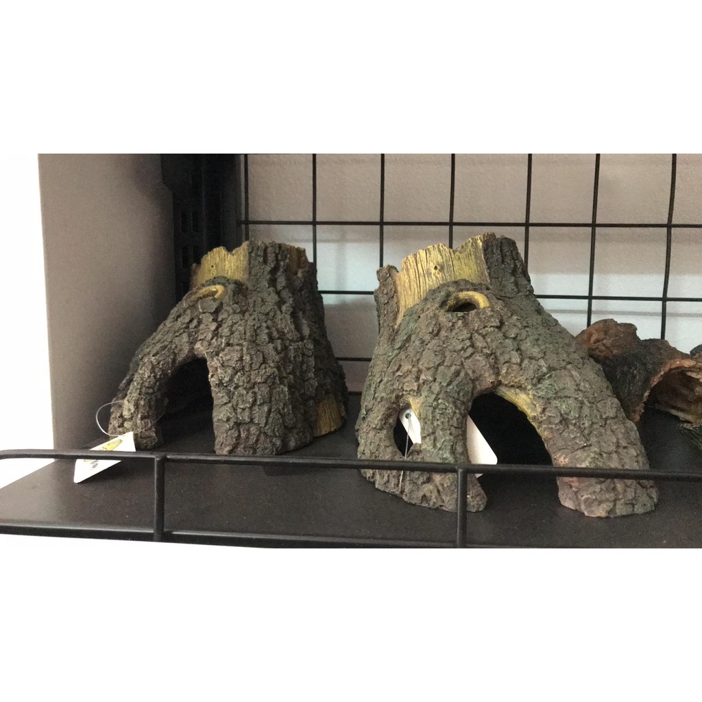 Gốc cây trang trí bể thuỷ sinh, hồ cá