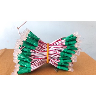 Led ruồi 12v 100 bóng