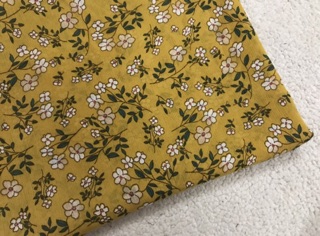 Set vải 250k.