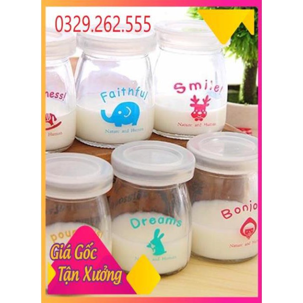 (Sale Khủng)  Hũ làm sữa chua set 12 lọ