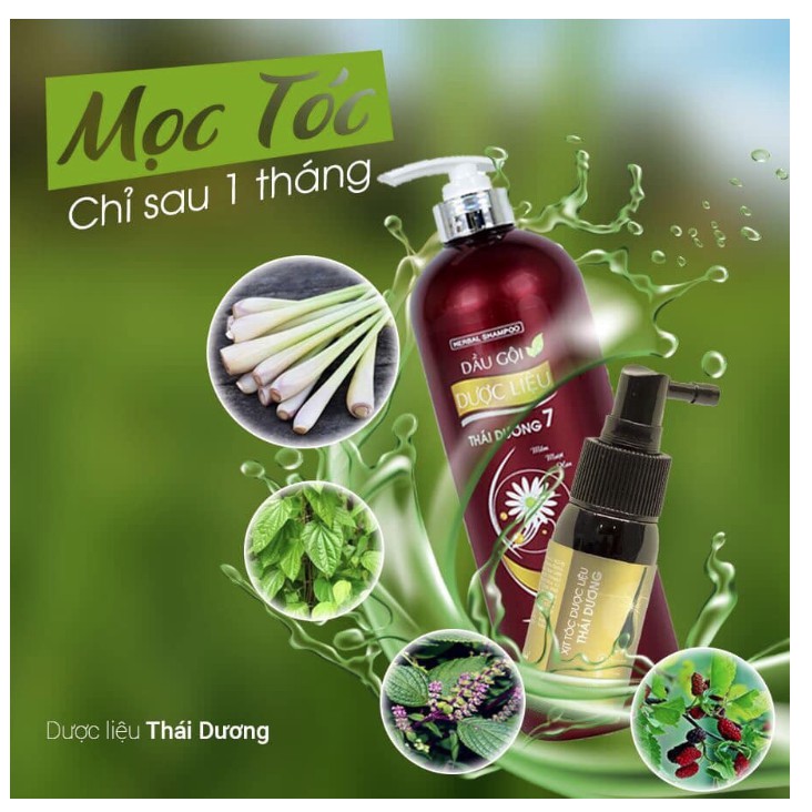 Dầu Gội Dược Liệu Thái Dương 7 Chai 1100ml