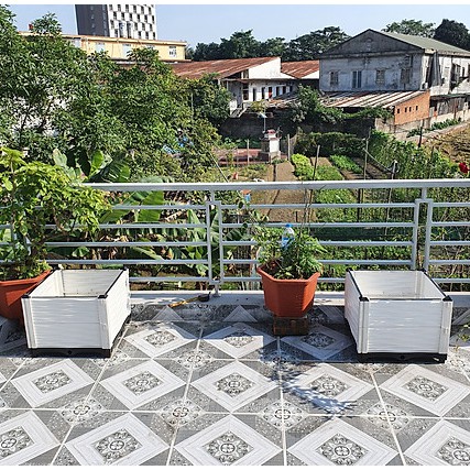 Chậu nhựa trồng rau, cây cảnh thông minh lắp ghép 50x50/Chậu ghép