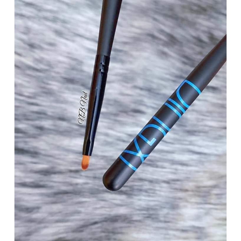 cọ hoa cúc dingxi Nhật .