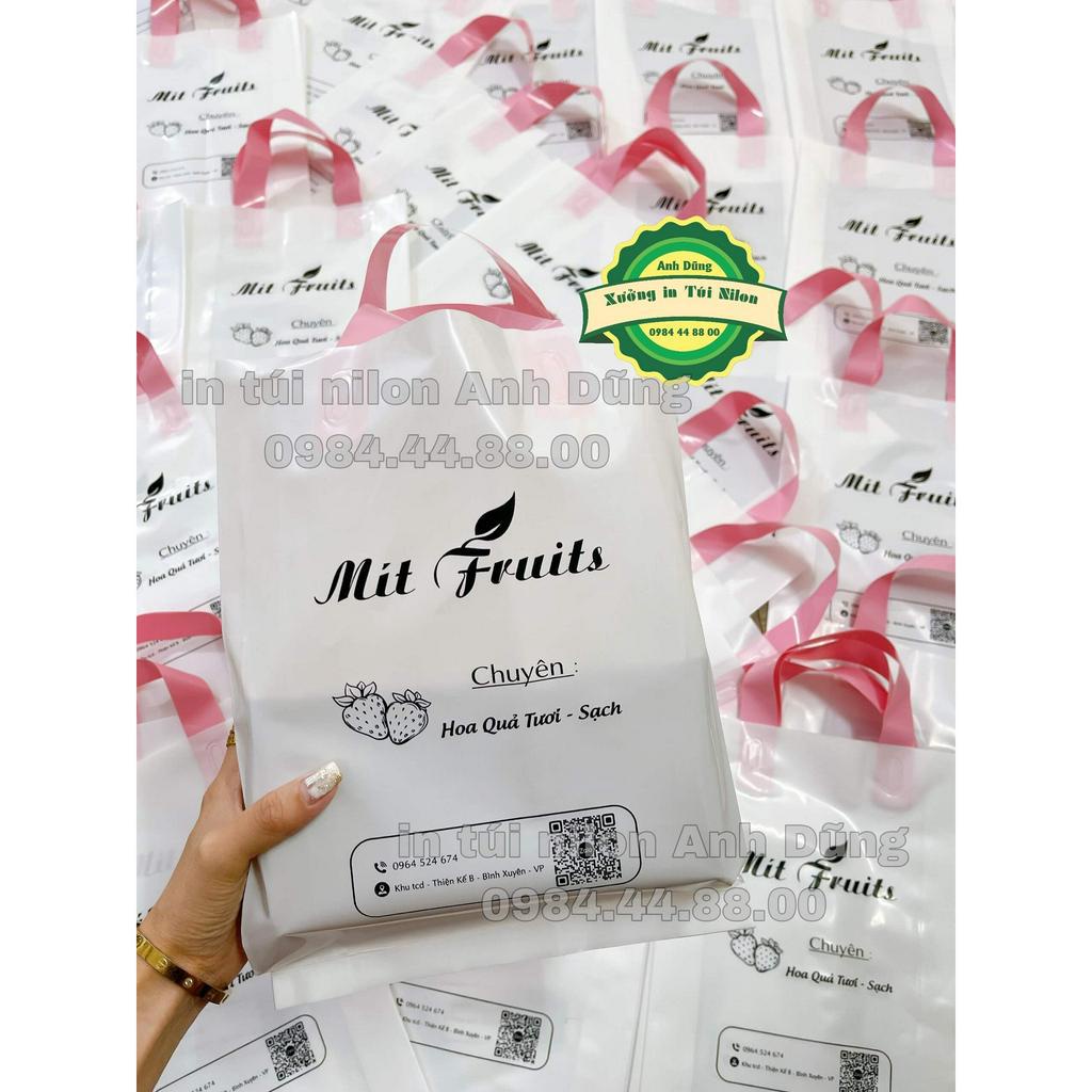 - in túi Ép quai siêu sang - in túi nilon giá rẻ - in túi shop theo yêu cầu - Miễn Phí Vận Chuyển