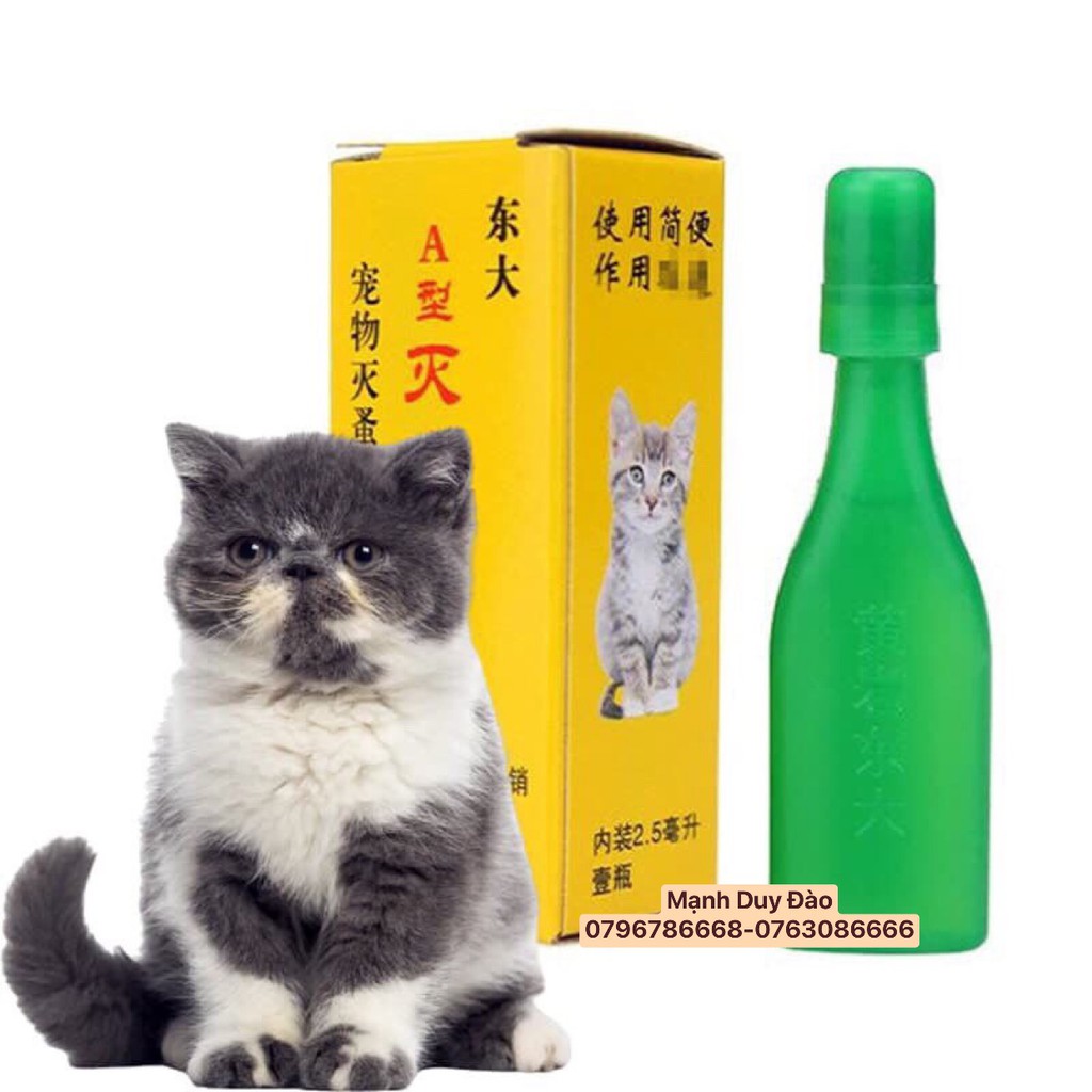 NHỎ GÁY TRỊ VE RẬN BỌ CHÉT CHO CHÓ MÈO SIÊU HIỆU QUẢ