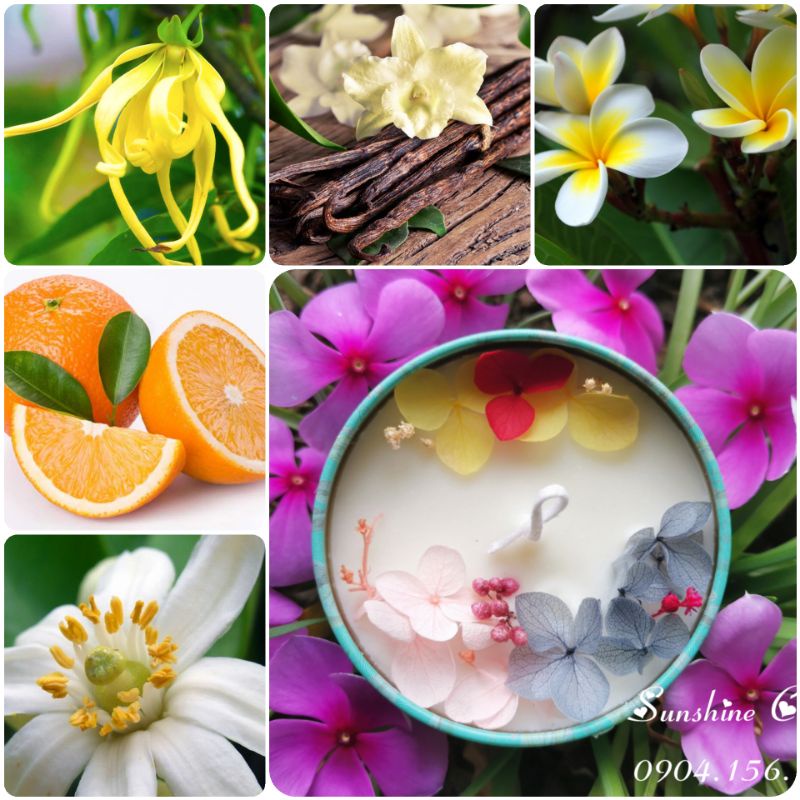 Tinh dầu thiên nhiên làm nến