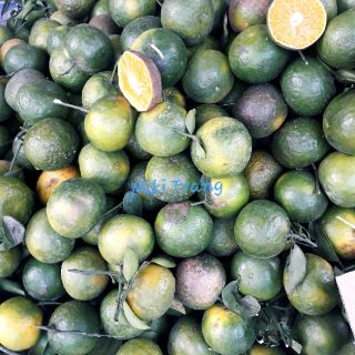 Cam sành Lai Vung🍊🍊🍊