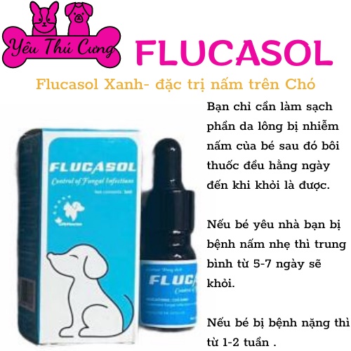 Flucasol- Sản Phẩm Trị Nấm Cho Chó Mèo 5ml- GFB Pharma