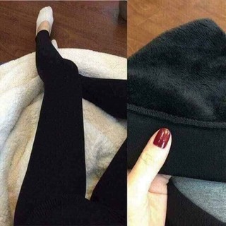 Quần nỉ mèo lót lông- quần mèo lót lông quynhshopp