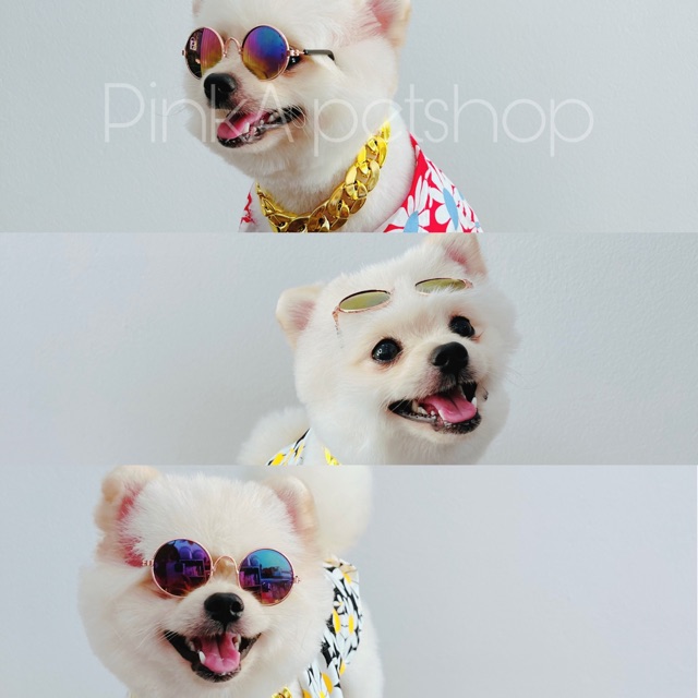 PinkA pet shop