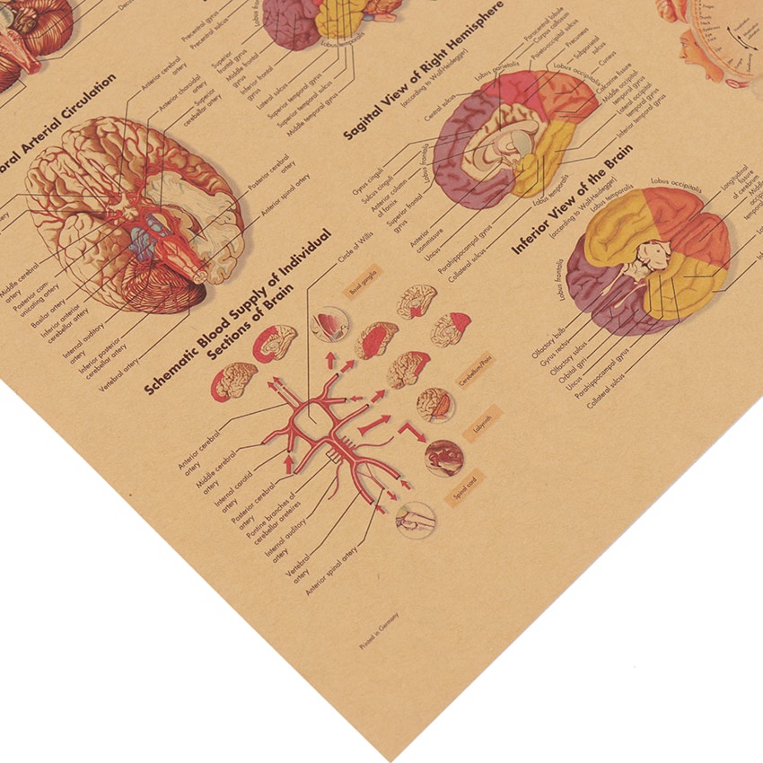 Poster Giấy kraft Dán Tường Trang Trí Quán Cà Phê Phong Cách Vintage