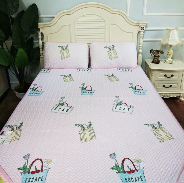 Chiếu điều hoà