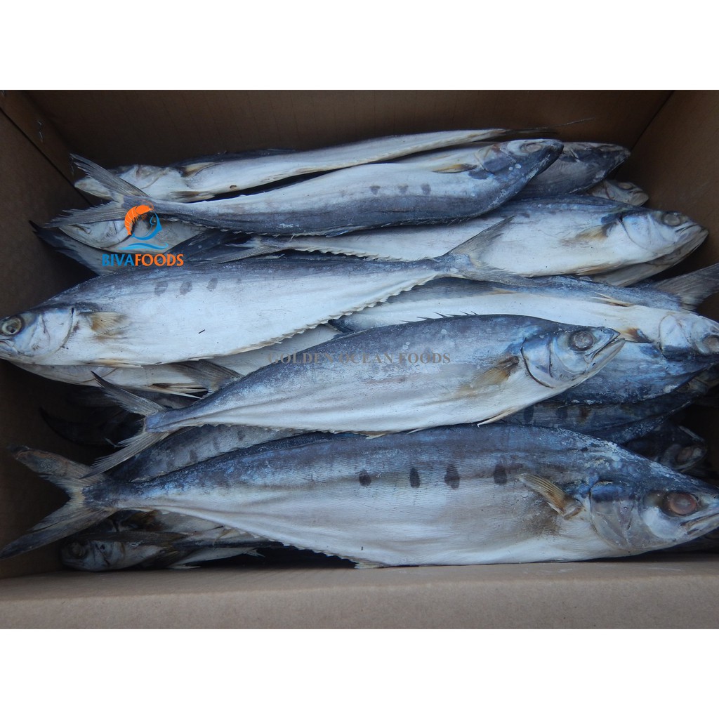 Khô Cá Bè Trang Nguyên Con 4-8 Con/1kg/Túi - Thực Phẩm BIỂN VÀNG