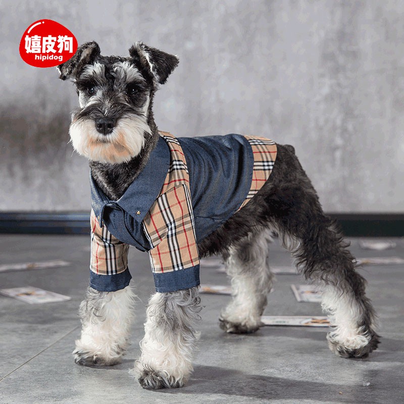 Quần áo cún con Schnauzer mùa xuân và mùa hè mỏng Áo sơ mi thú cưng chú chó nhỏ