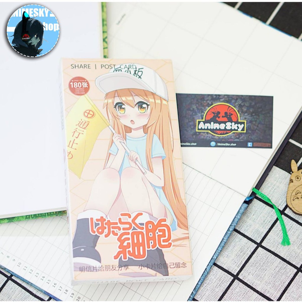 Postcard  Anime Hataraku Saibou - Postcard Tiểu Cầu 180 cái 1 bộ