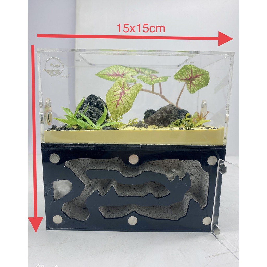 Hộp nuôi kiến - D02 - Ant farm - Formicarium - Hộp nuôi kiến - Chuồng nuôi kiến - Tank kiến - Nhà cho kiến