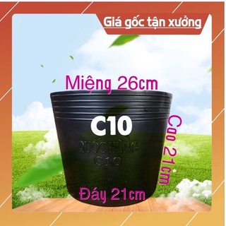 Chậu nhựa đen c10