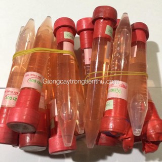 KEIKI DUY PRO-CHẾ PHẨM SIÊU KÍCH MÂM,CHỒI NHẬP KHẨU.