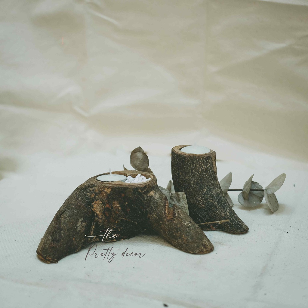 Chậu Khúc Gỗ Tự Nhiên Dáng Cổ Thụ Trồng Cây, Decor, Trang Trí Vintage