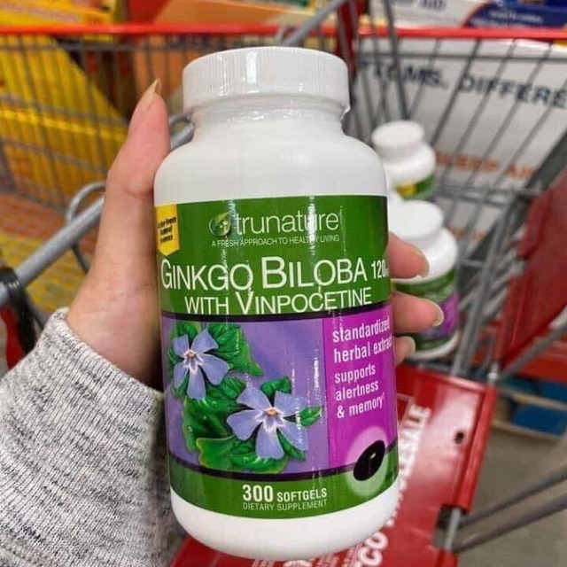 Ginkgo biloba 300v