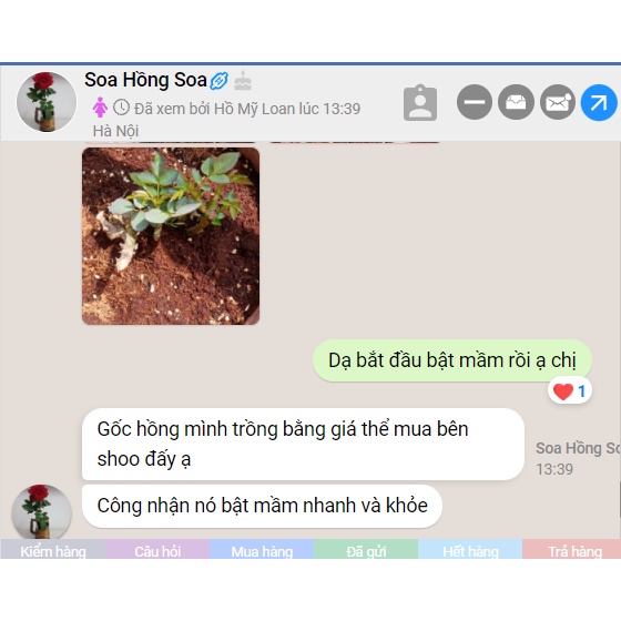 Đất trồng - Giá thể trồng cây cao cấp Greenzone - Thay thế hoàn toàn đất trồng thông thường