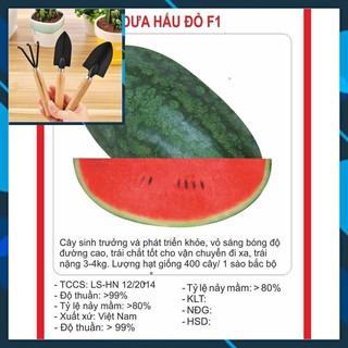 Hạt giống Dưa Hấu Đỏ 10 Hạt TẶNG BỘ LÀM VƯƠN MINI