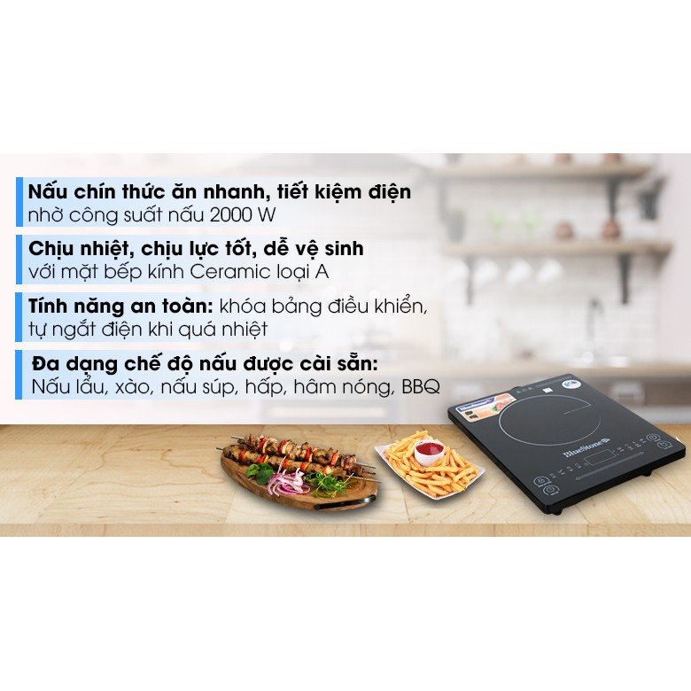 Bếp từ BlueStone ICB-6619