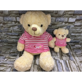 Set teddy + combo gấu xinh yêu