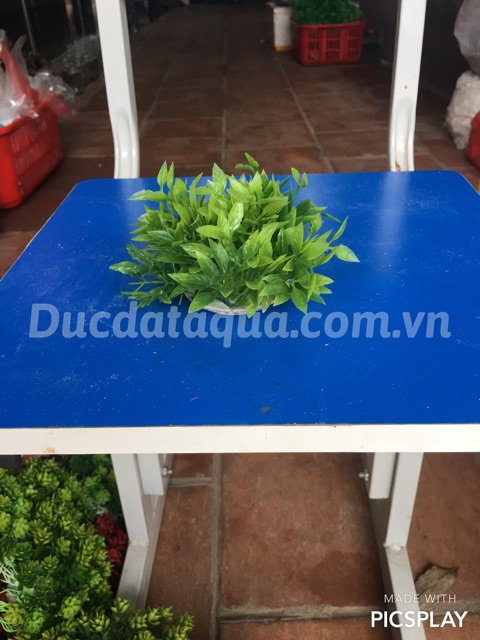 Cây nhựa hoa nhựa trang trí nội thất , bể cá