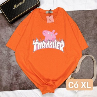 🍍Áo Thun 70/11 Piggy🍍