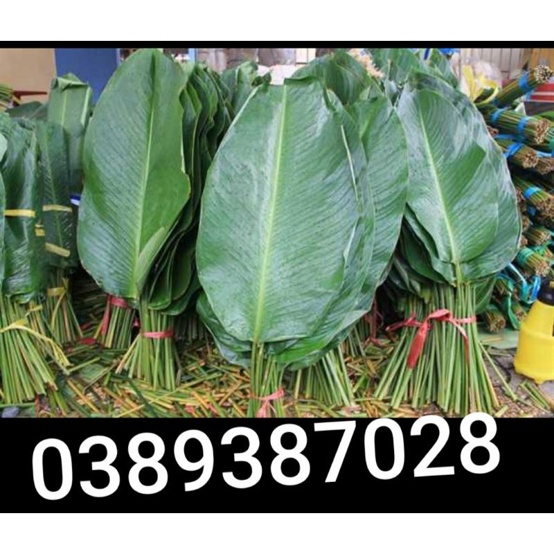 lá dong gói bánh,30 lá và 30 lạt buộc