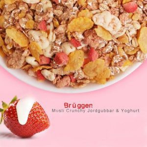 [HÀNG ĐỨC] Ngũ cốc giòn ăn liền với dâu và sữa chua Brüggen Müsli Crunchy (Jordgubbar & Yoghurt) 500g