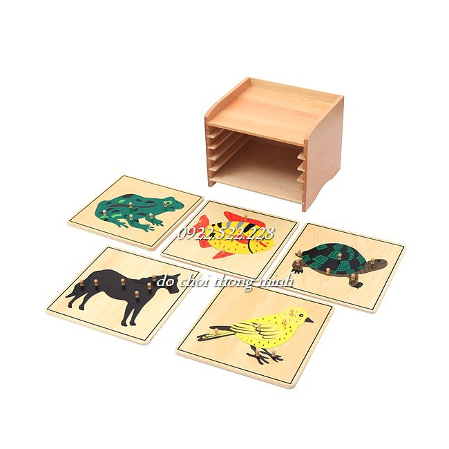 [bản quốc tế cao cấp] Ghép hình sinh học Montessori loại gỗ dày - núm gỗ