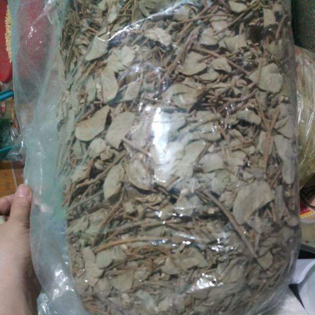 [Mã 267FMCGSALE giảm 8% đơn 500K] Kim Tiền Thảo khô trị sỏi mật 1kg | BigBuy360 - bigbuy360.vn