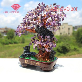CÂY TÀI LỘC ĐÁ PHONG THỦY