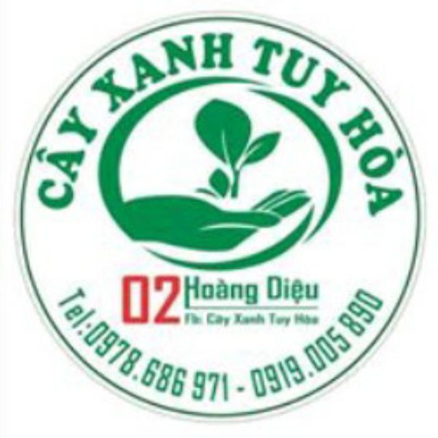 Cây Xanh Tuy Hoà
