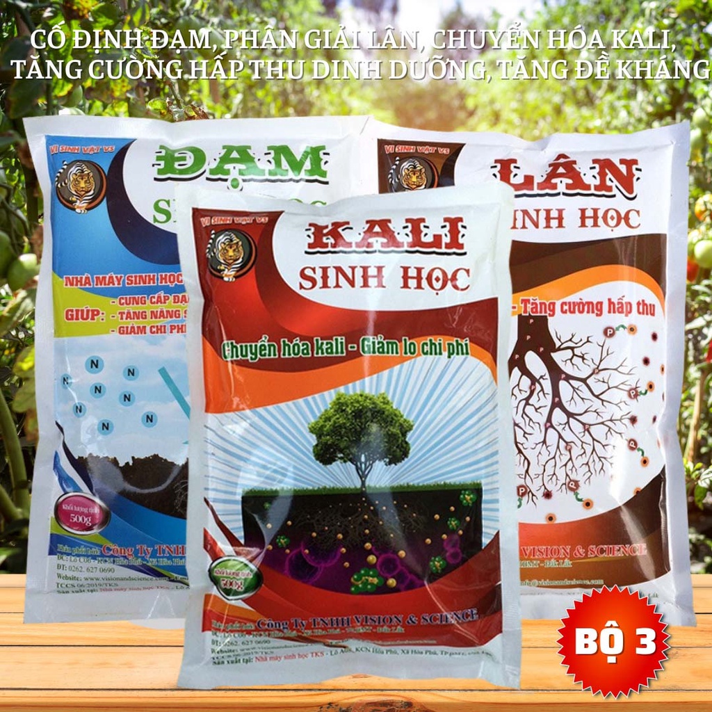 3Gói ĐẠM LÂN KALI Sinh Học Phân Giải Lân, Cố Định Đạm, Chuyển Hóa Kali - Mỗi gói 500gr