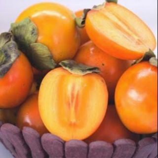 Cây hồng giòn không hạt