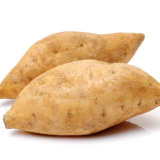Khoai Lang Trắng Sữa 1kg