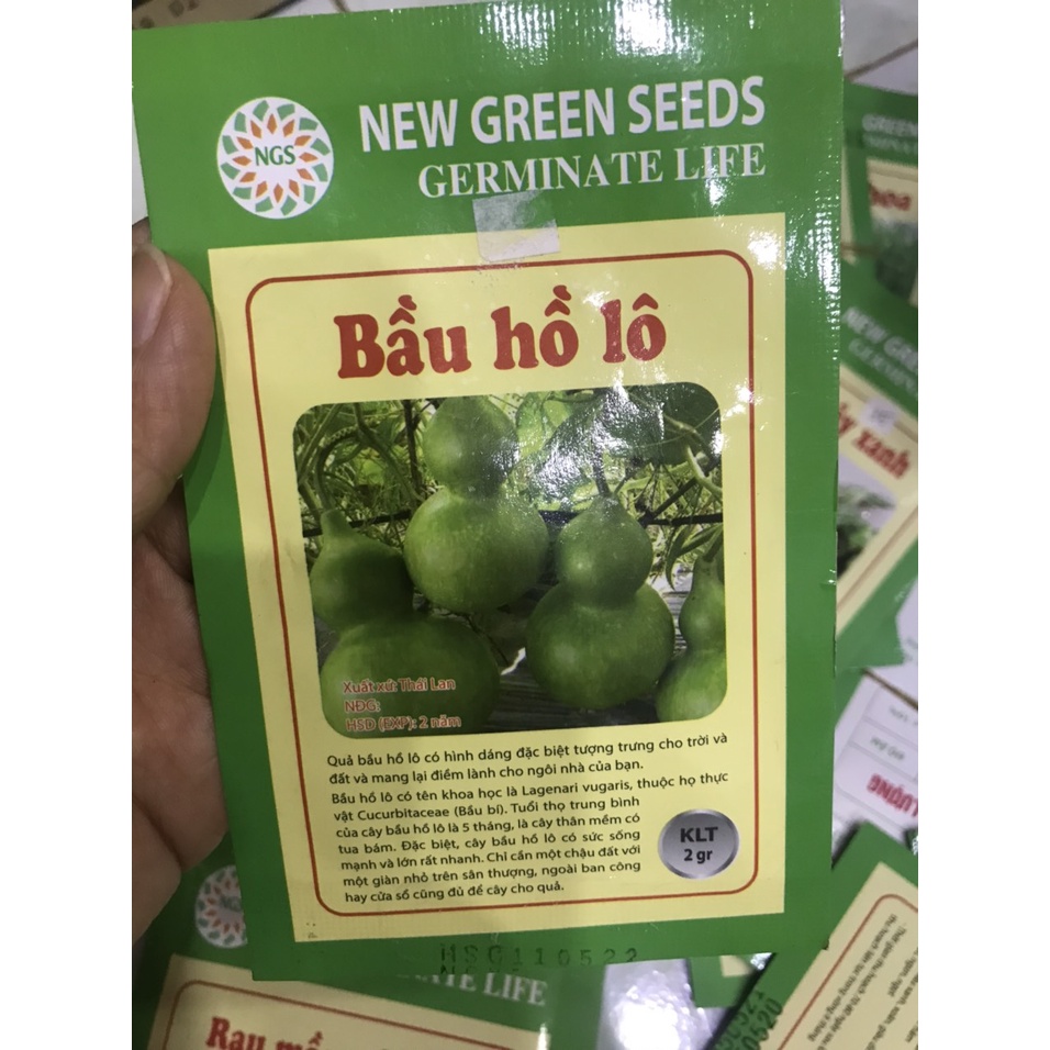 hạt cà chua, dưa chuột, bầu bí, mướp, nho lùn, đu đủ, đậu bắp, đậu rồng