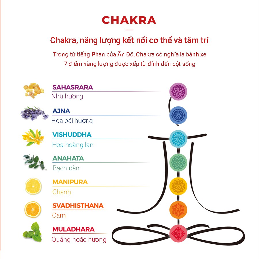 Miếng Dán Nhiệt Giảm Đau Mỏi Cơ CHAKRA AROMA RELAXING COLOR PATCH_Mỹ phẩm Hàn Quốc chính hãng