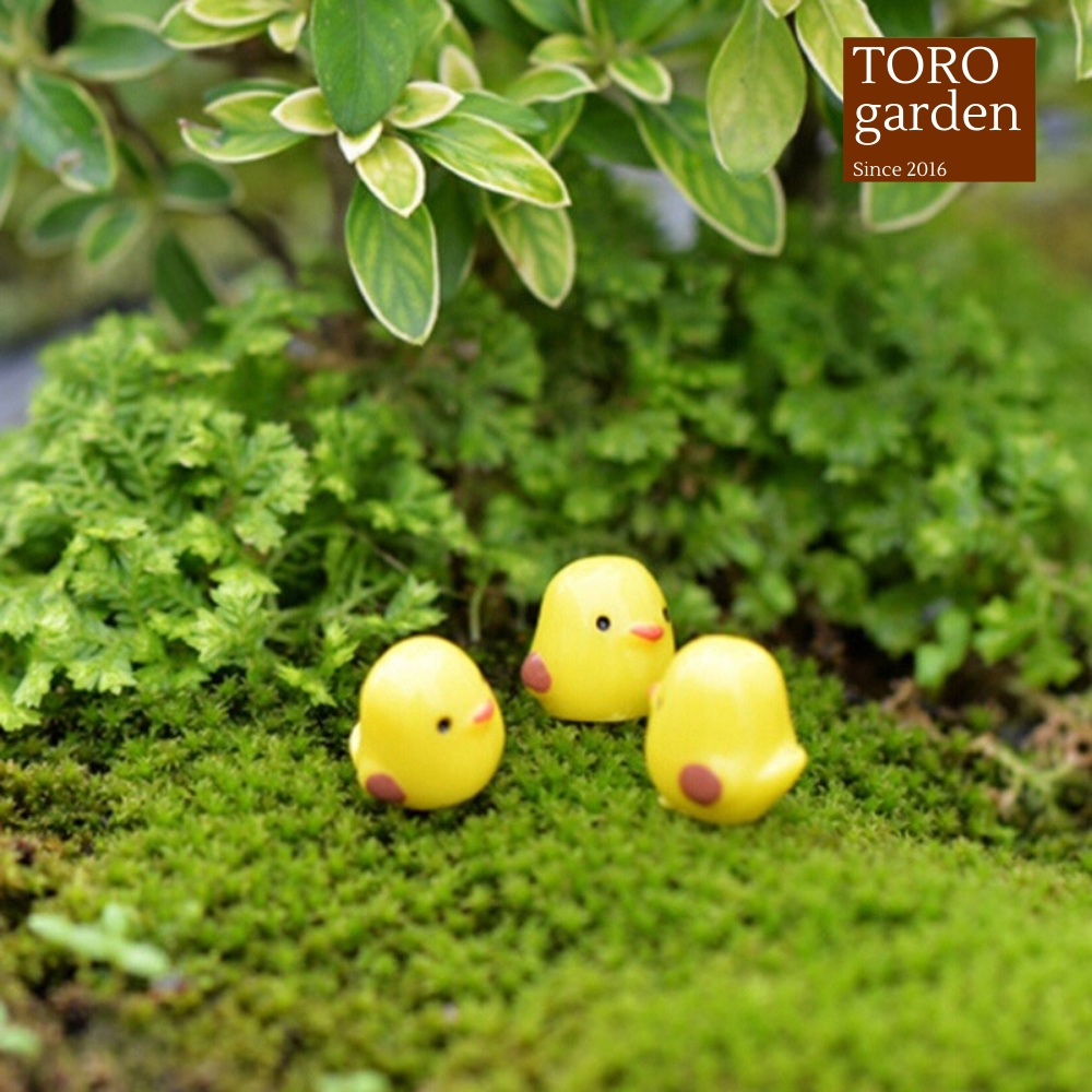 Phụ kiện 5 chú gà con Toro garden siêu cute